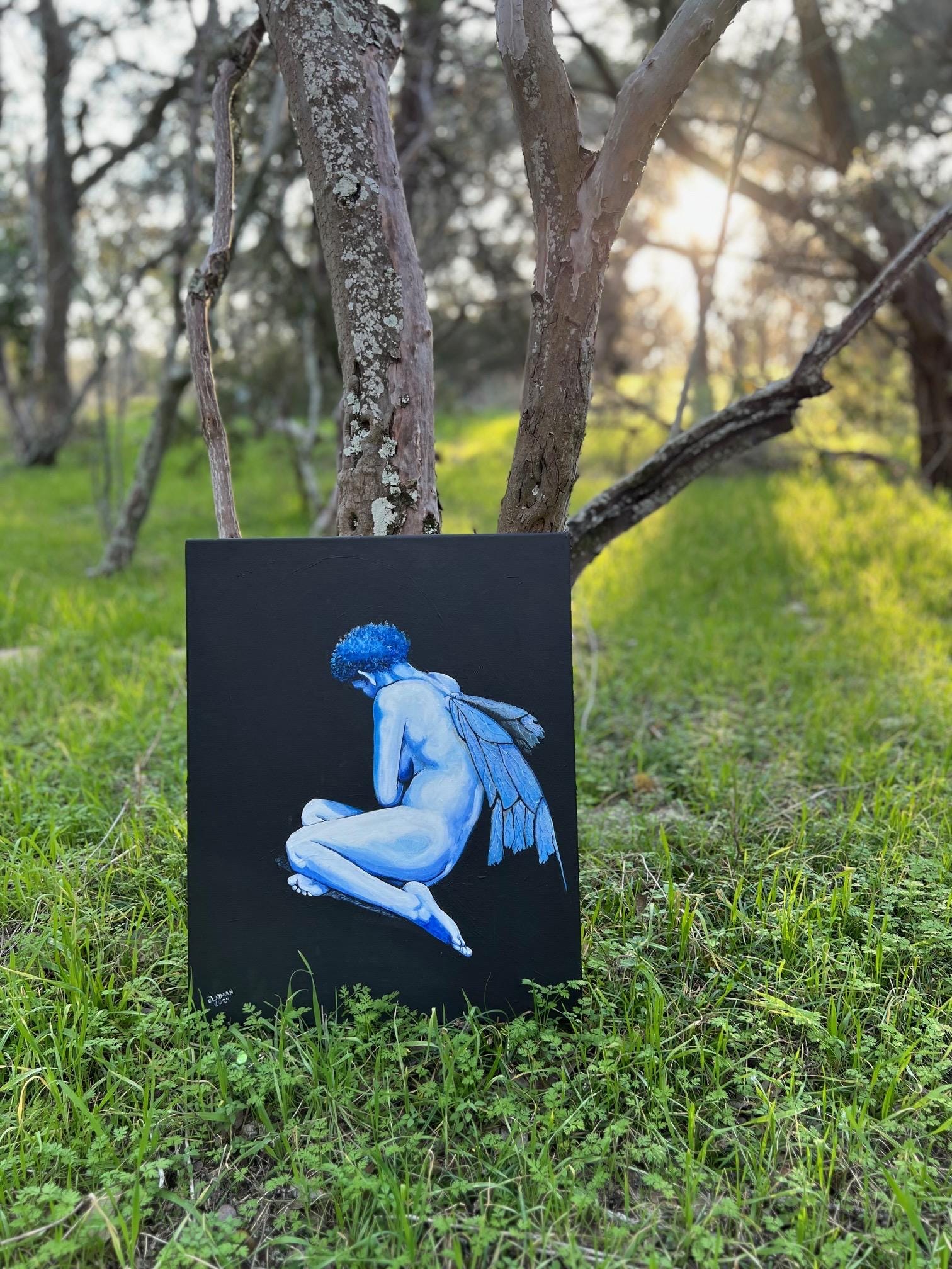 Paintings and Art