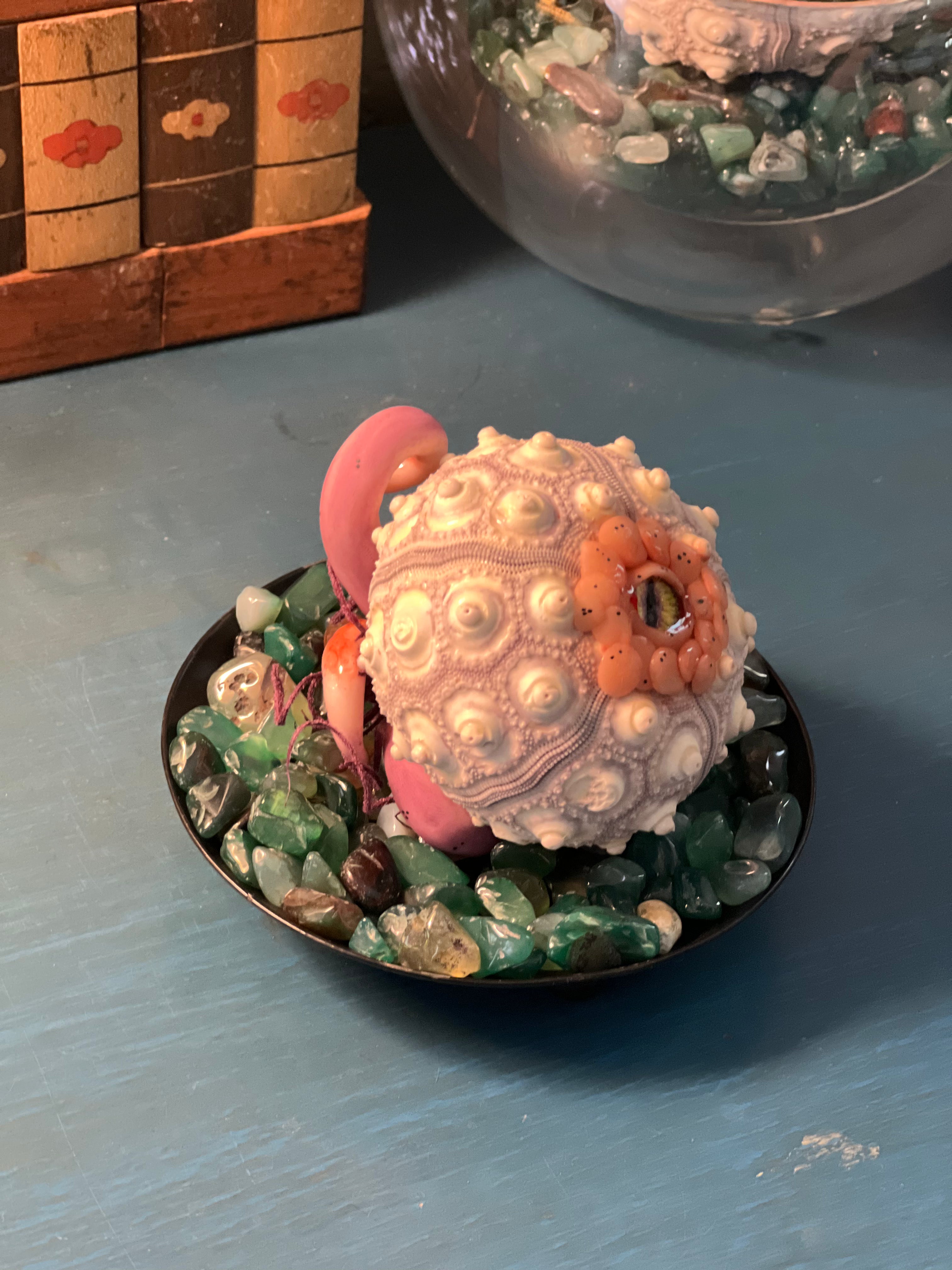 Hand sculpted from polymer clay and nestled inside a natural sea urchin skeleton, every hatchling possesses its own unique personality and expression.