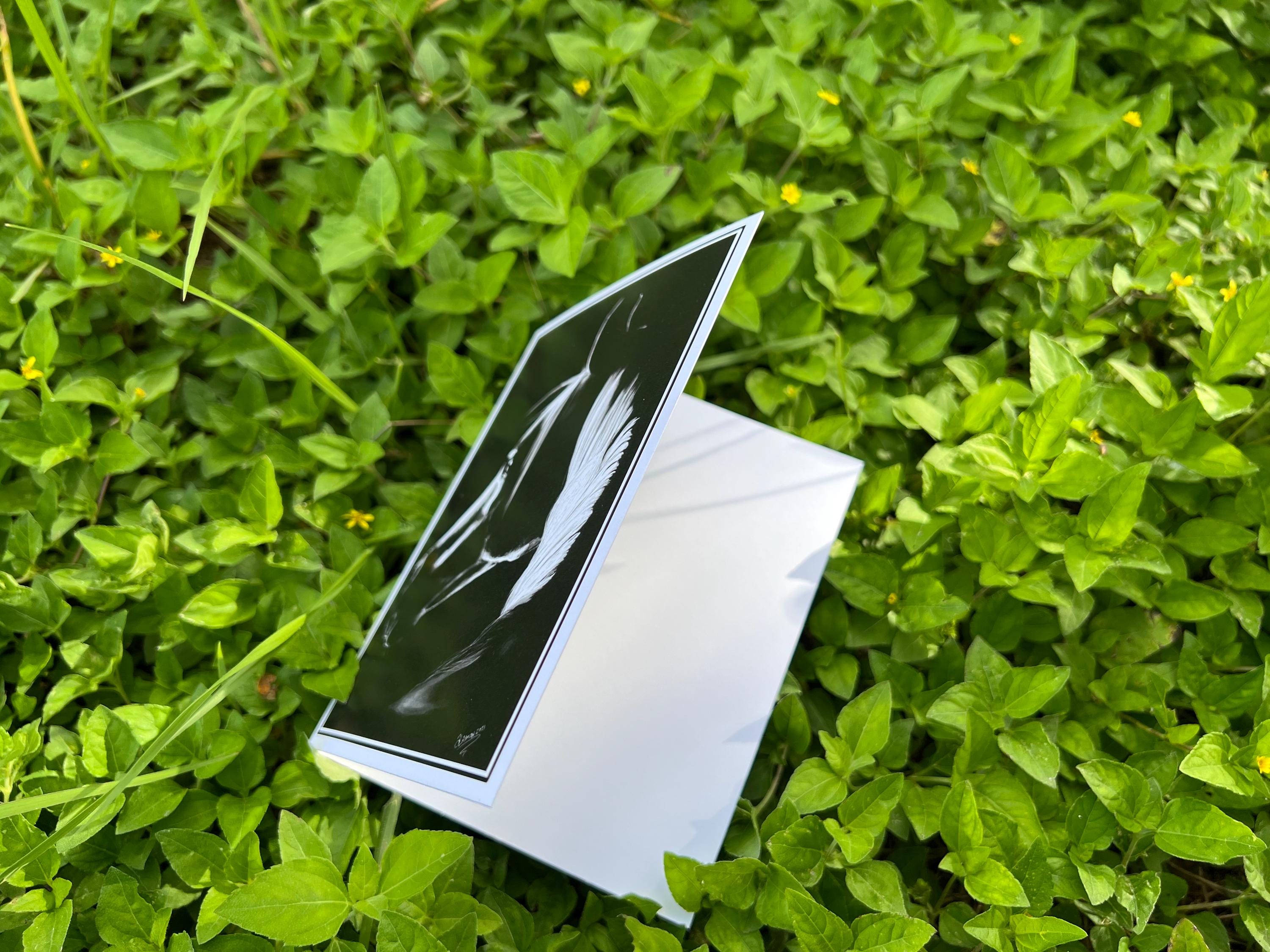 A square black-and-white art print or postcard with a white border, propped open on a bed of green foliage outdoors.