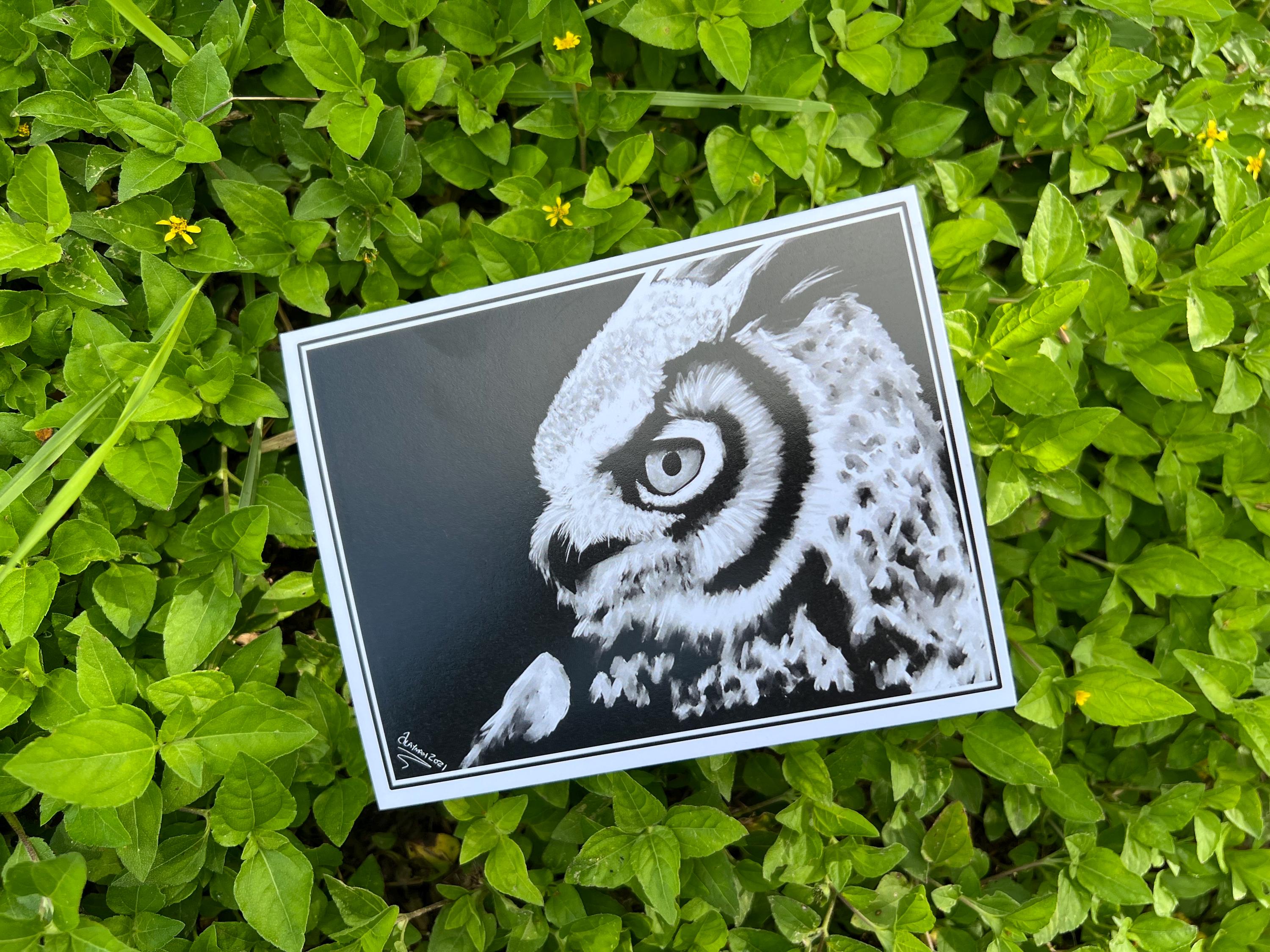 A rectangular art print featuring a black and white detailed illustration of an owl, placed on a bed of green grass.