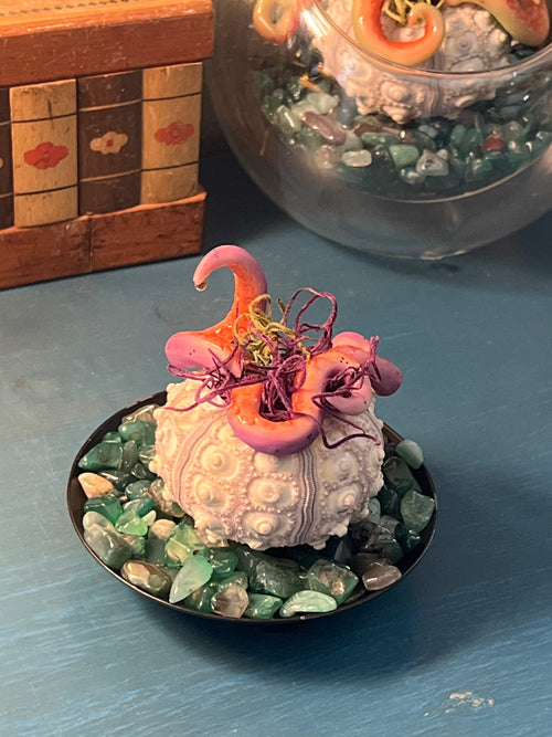 Hand sculpted from polymer clay and nestled inside a natural sea urchin skeleton, every hatchling possesses its own unique personality and expression.
