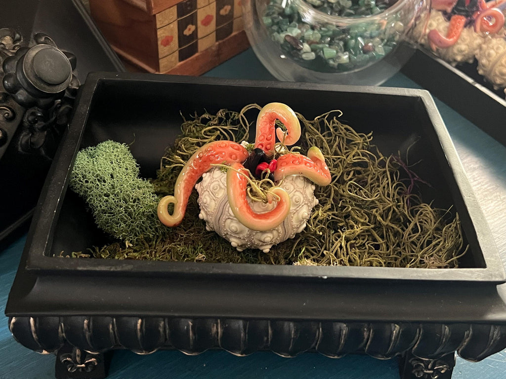 A decorative black rectangular tray filled with green moss, featuring a creature with tentacles, with a green mossy ball beside it.