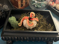 A decorative black rectangular tray filled with green moss, featuring a creature with tentacles, with a green mossy ball beside it.