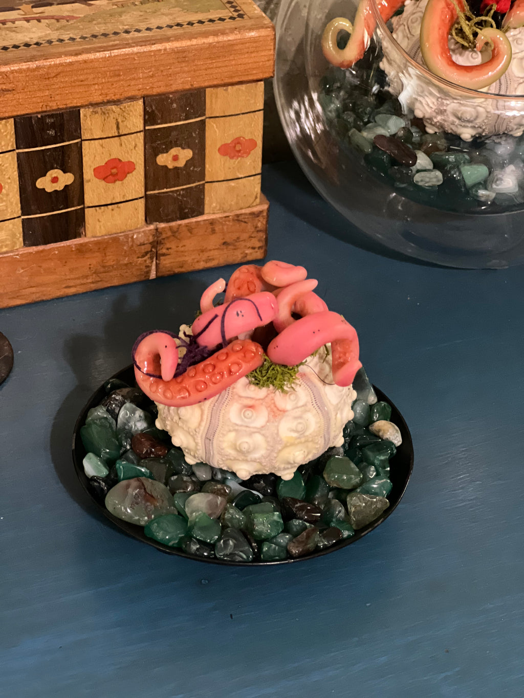 Star Spawn on display for adoption