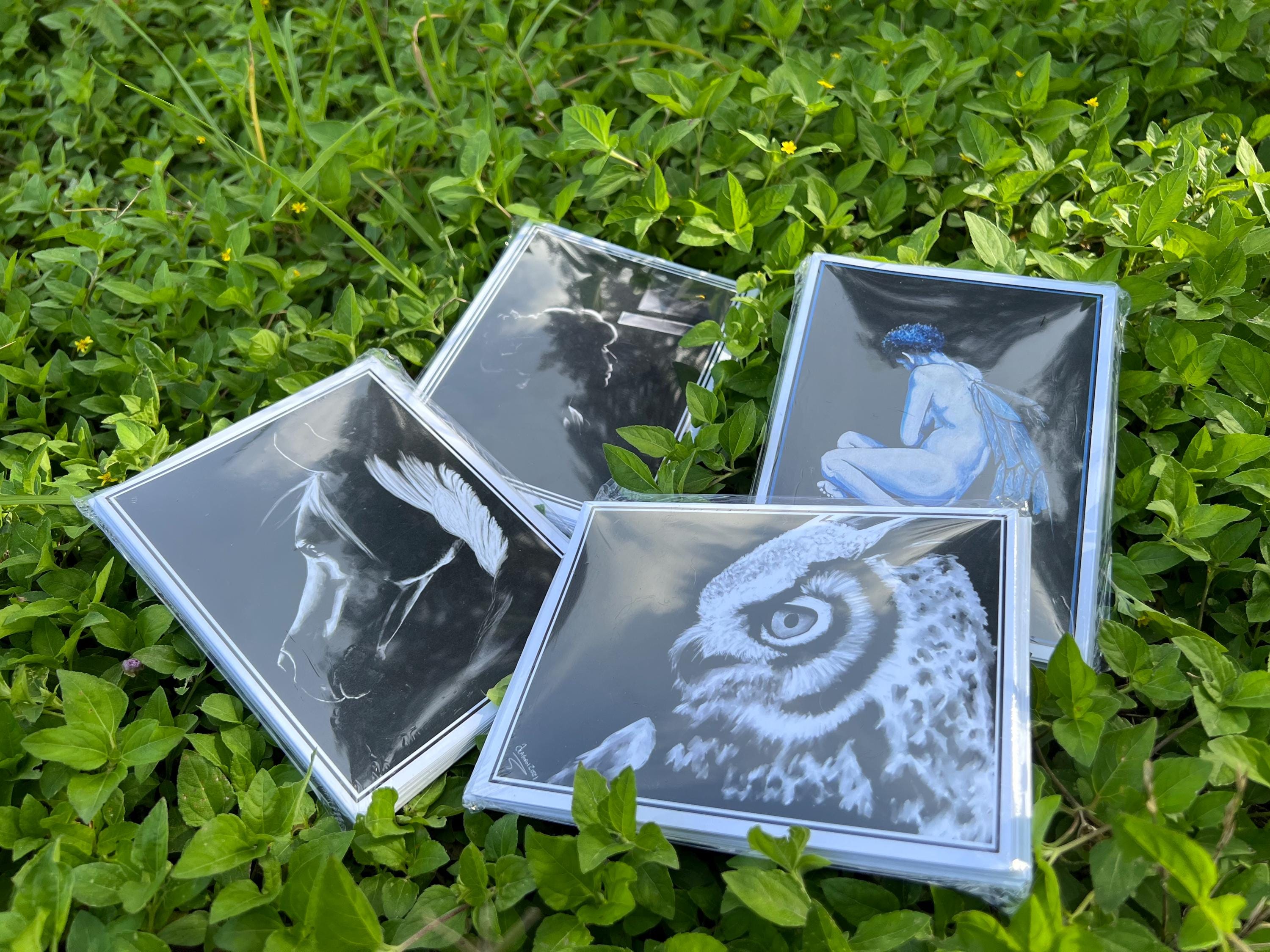 Four other packs of notecards, each printed with a different black and white animal or figure design, arranged on green grass.