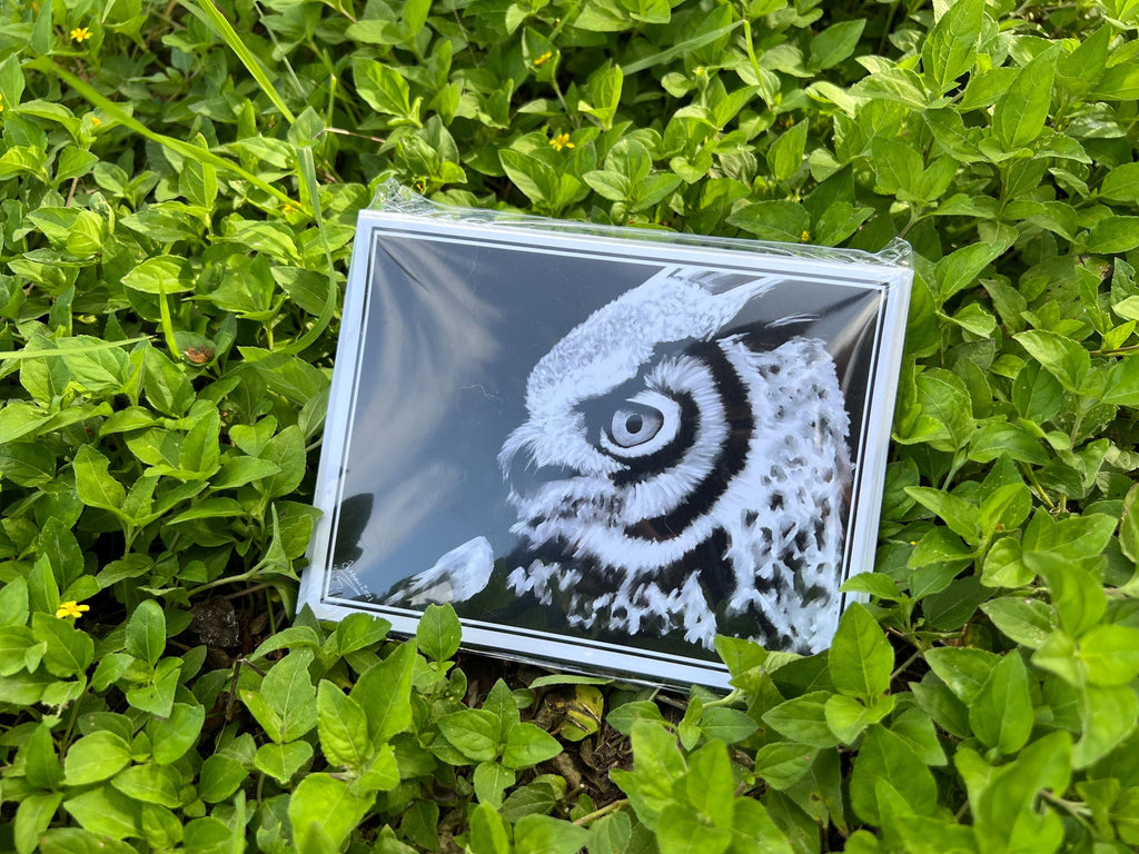 Snowy Owl Greeting Blank Cards 5 Pack with Envelopes: Artist Original Artwork