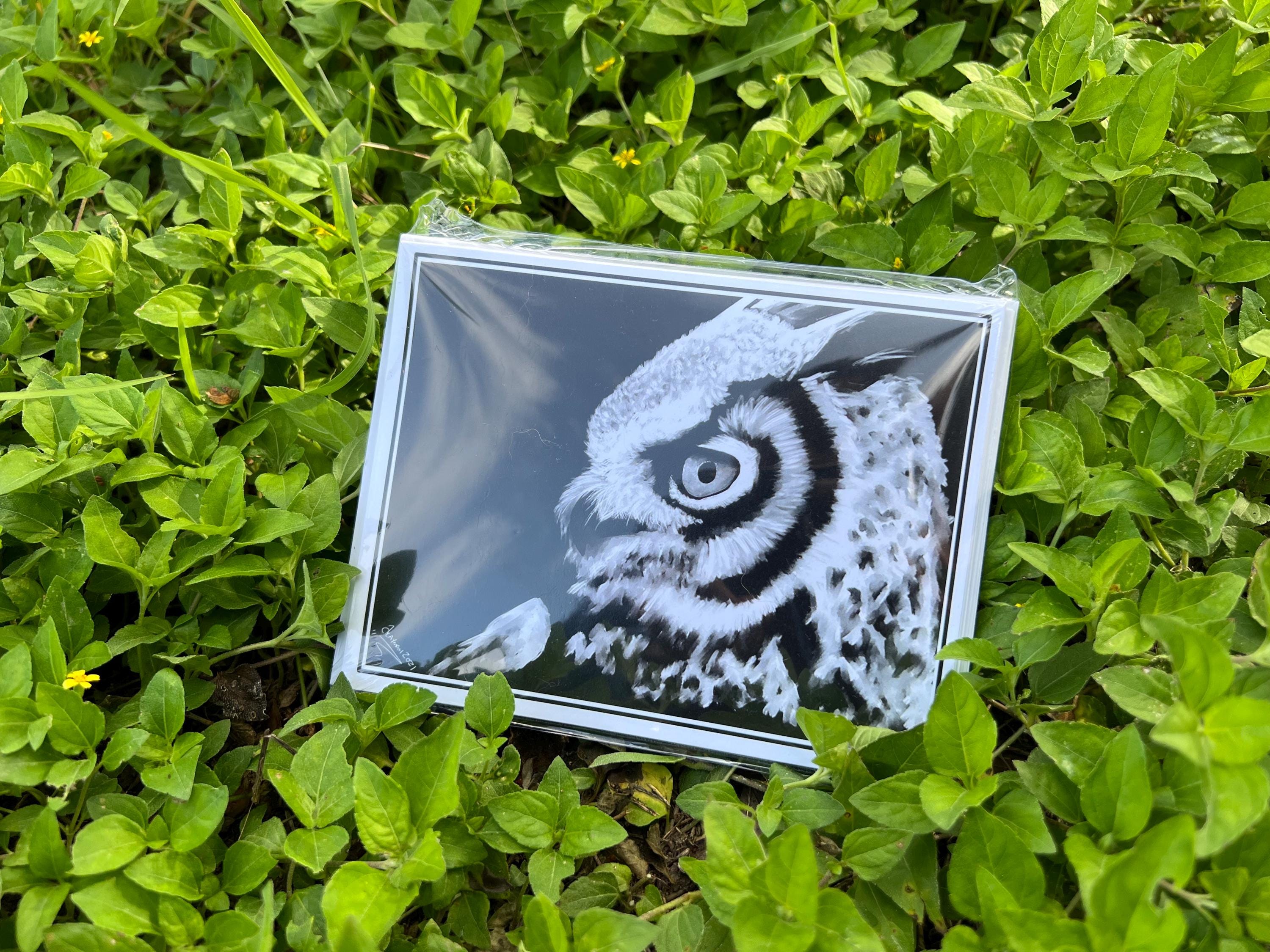 Snowy Owl Greeting Blank Cards 5 Pack with Envelopes: Artist Original Artwork