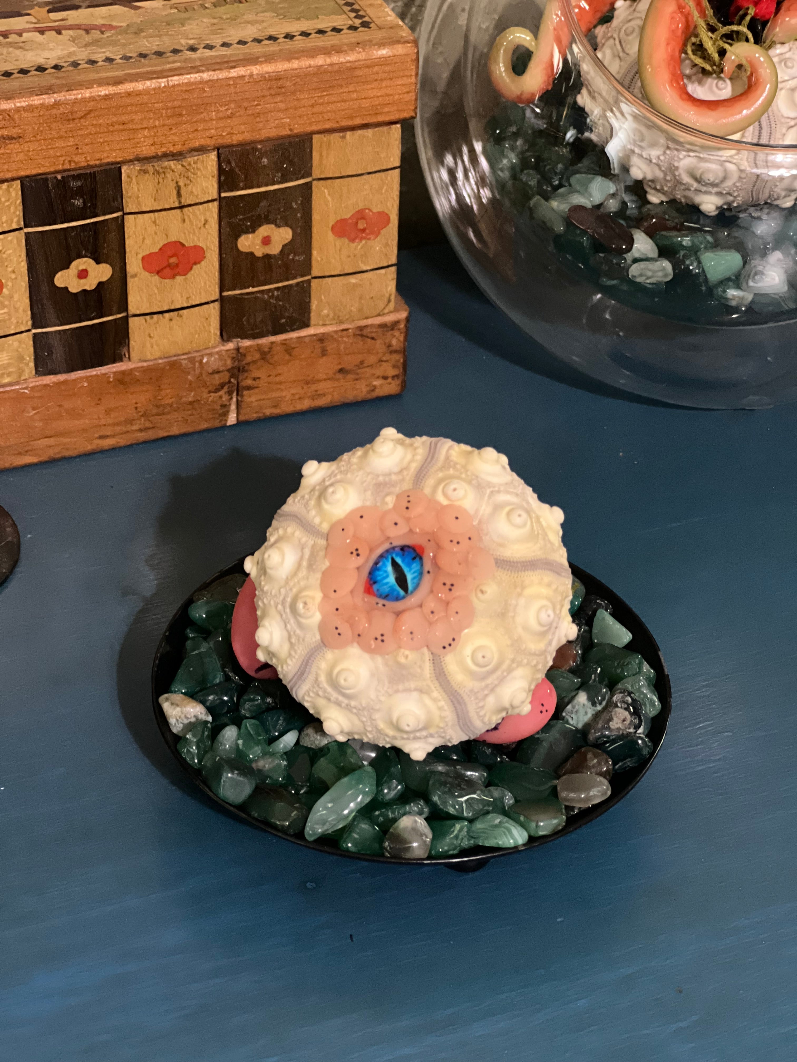 Star Spawn on display for adoption