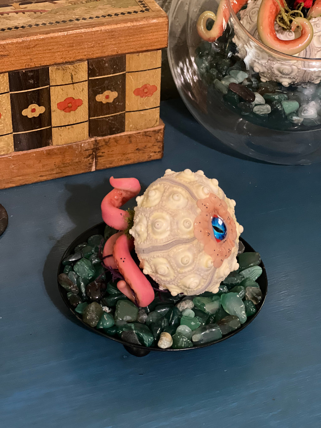 Star Spawn on display for adoption