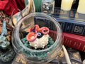 An Eldritch hatchling is being kept in a small glass container, it has an eye and tentacles. 