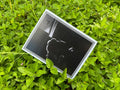 LIMITED PRINTS - Theater Light Print Blank Card Set: 5 Pack with Envelopes
