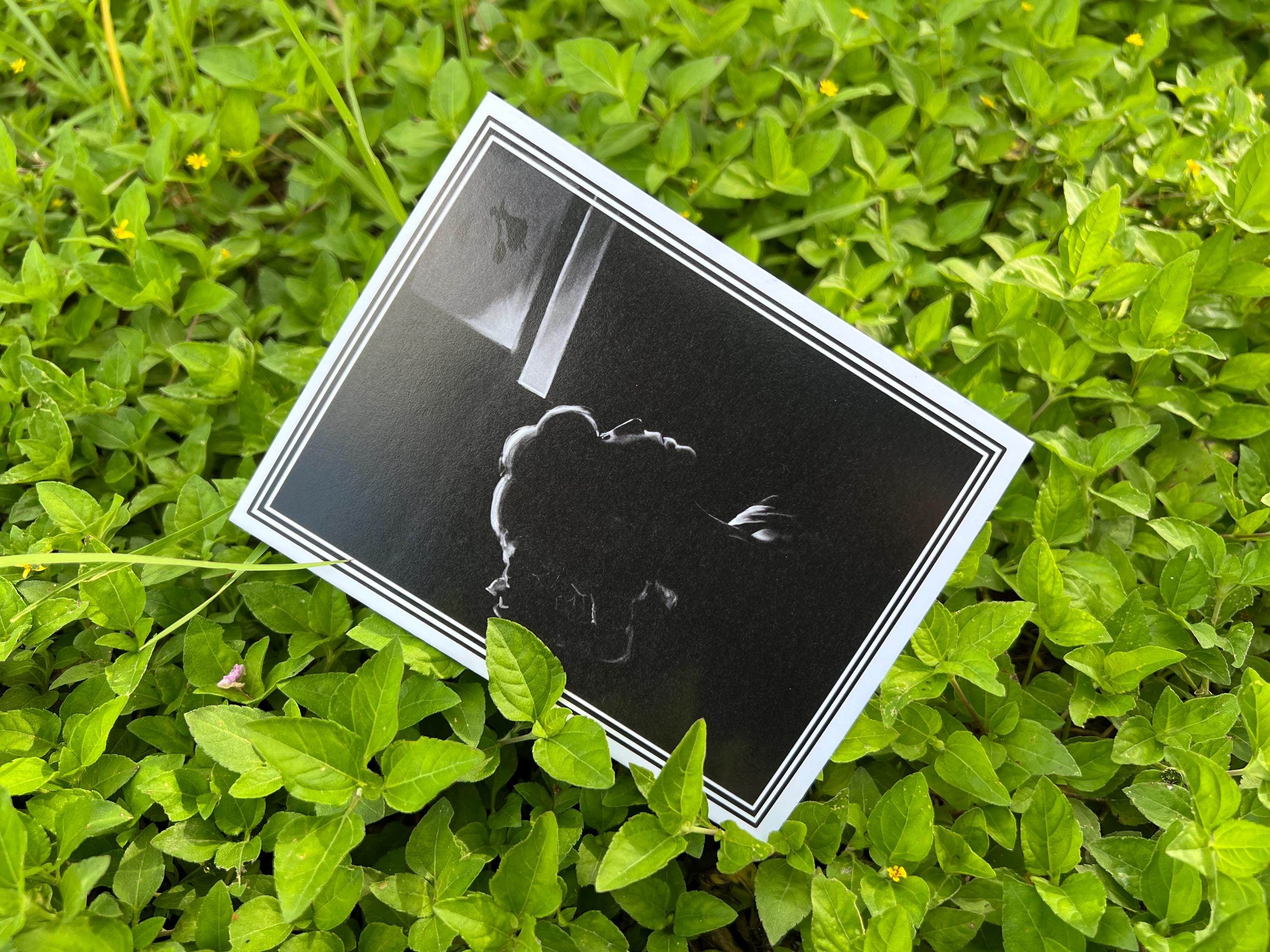 LIMITED PRINTS - Theater Light Print Blank Card Set: 5 Pack with Envelopes