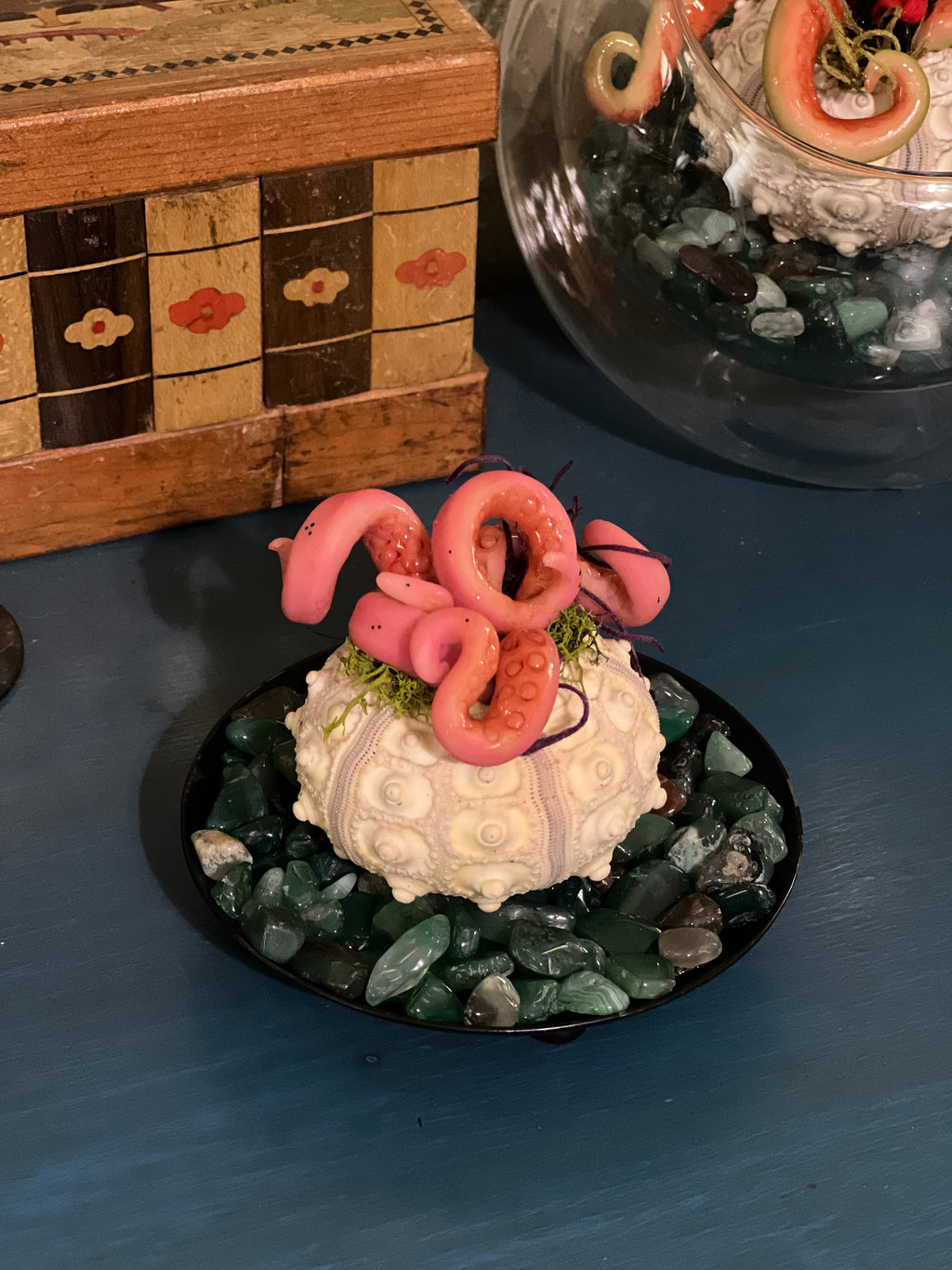 Star Spawn on display for adoption