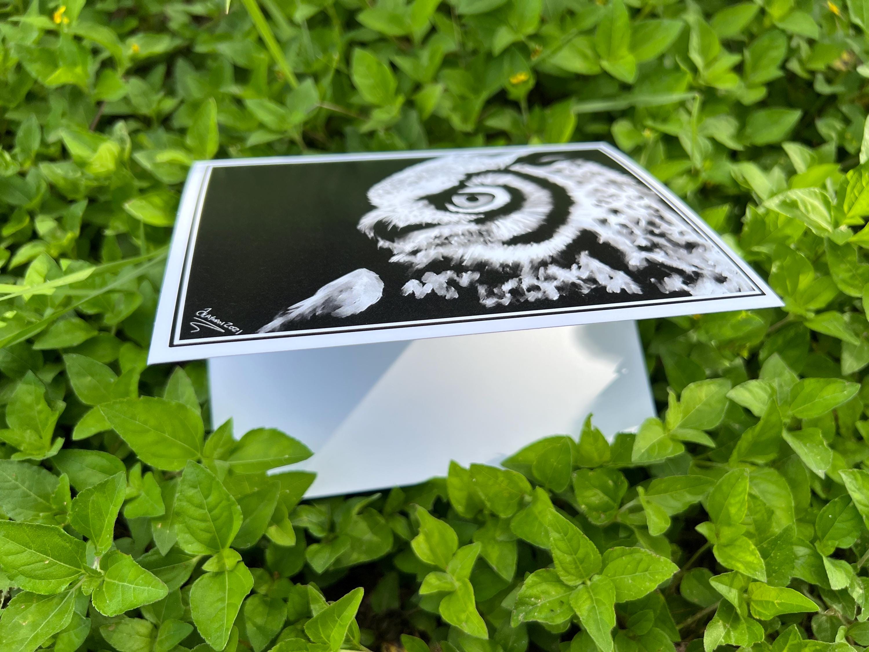 A square art print or postcard featuring a black-and-white owl illustration, resting on top of a white envelope amidst green foliage outdoors.