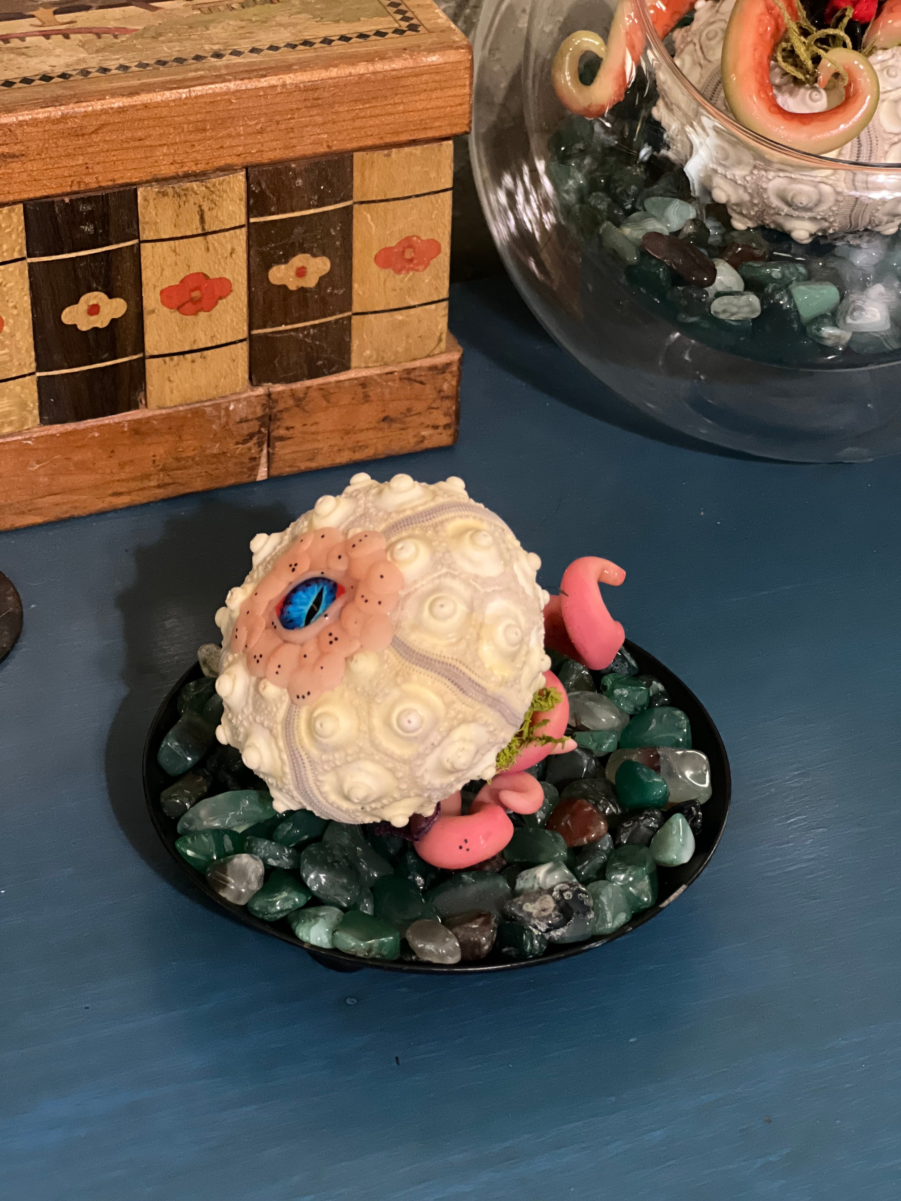 Star Spawn on display for adoption