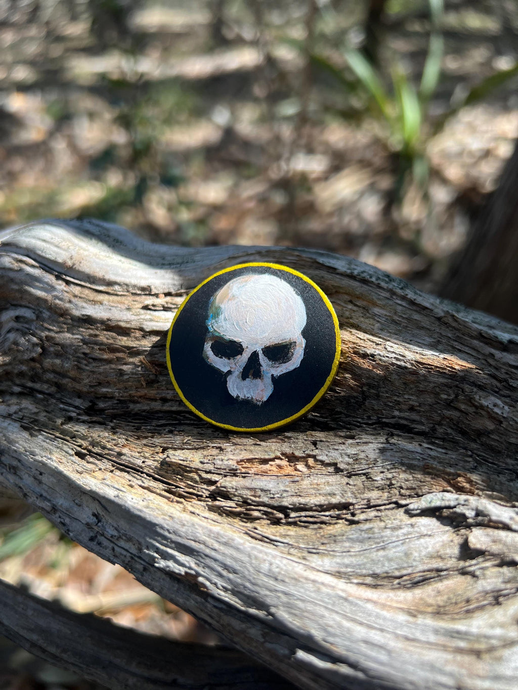 A round wooden token featuring a white skull design with a gold border, resting on a weathered piece of wood outdoors.