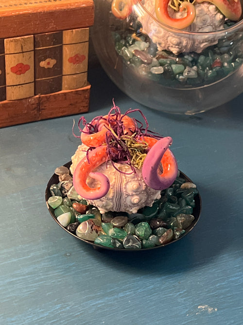 Hand sculpted from polymer clay and nestled inside a natural sea urchin skeleton, every hatchling possesses its own unique personality and expression.