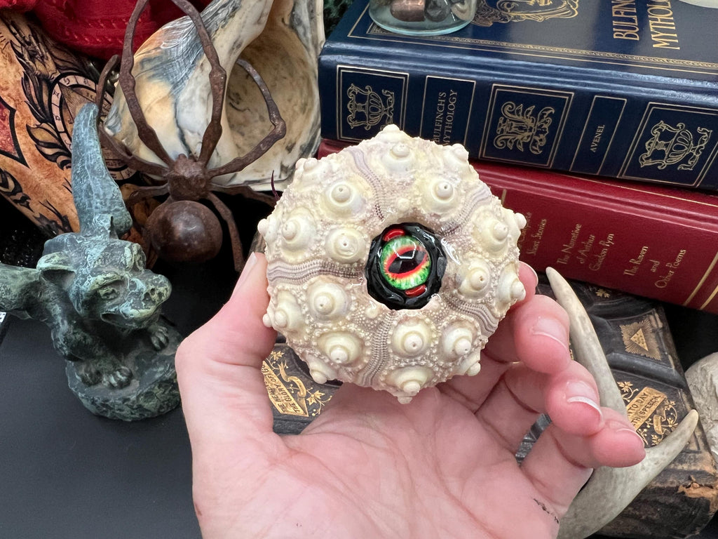 A hand holding a decorative sea urchin shell pendant with a colorful green, red, and black eye bead in the center, set against a background of books and gothic figurines.